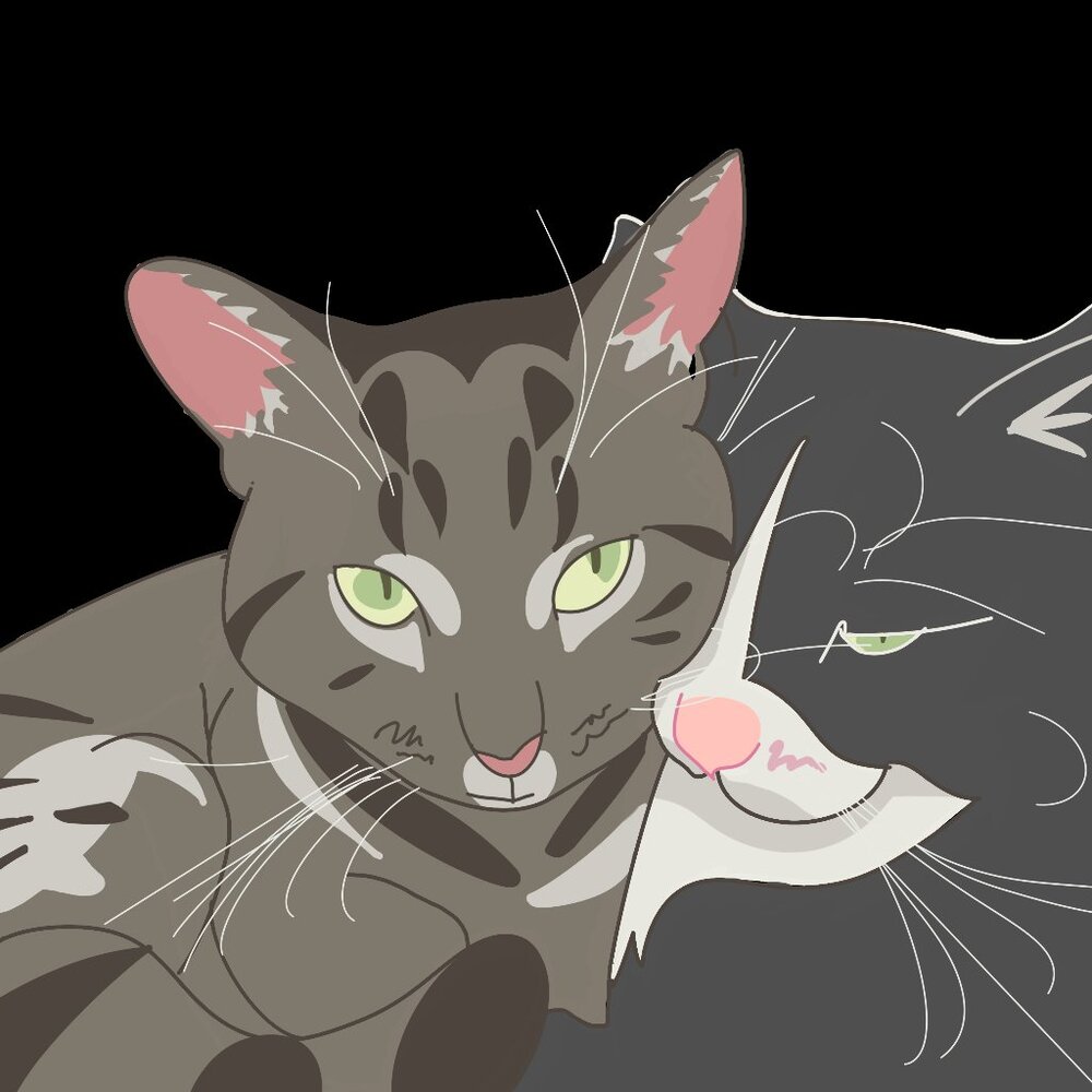 Tag Me In Photos Of Your Pets For A Chance To Get A Drawing Of Them Made By ME!!